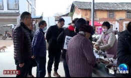 平望镇南杨村新闻爆料,揭秘乡村振兴新亮点